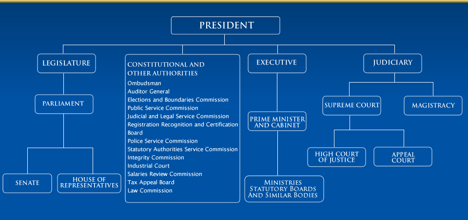 Organization of Local Government